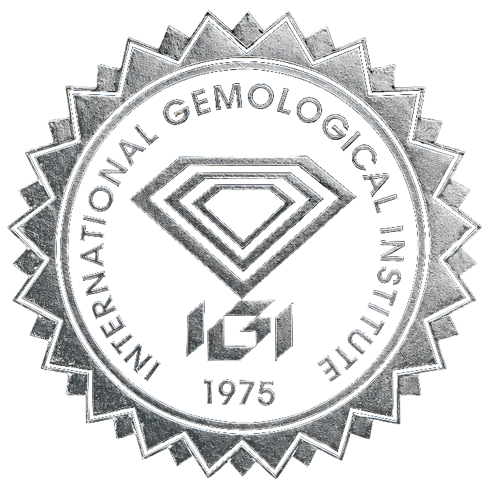 IGI Logo silber International Gemological Institute